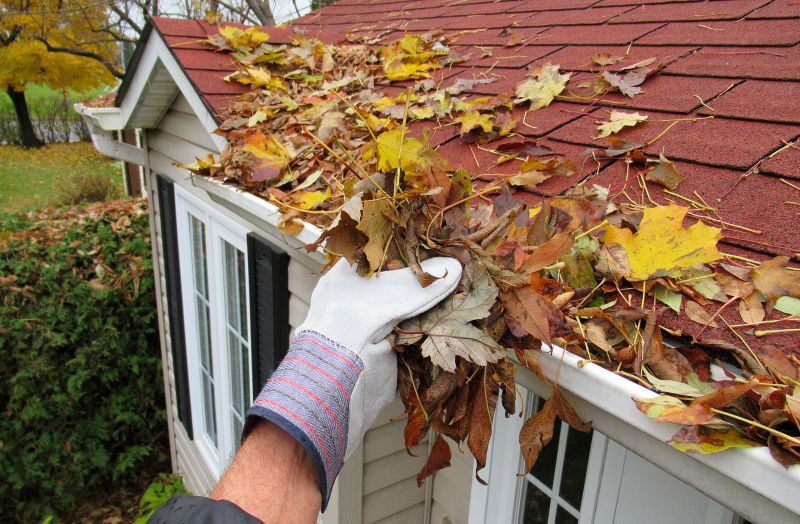 Gutter Cleaning in Spring